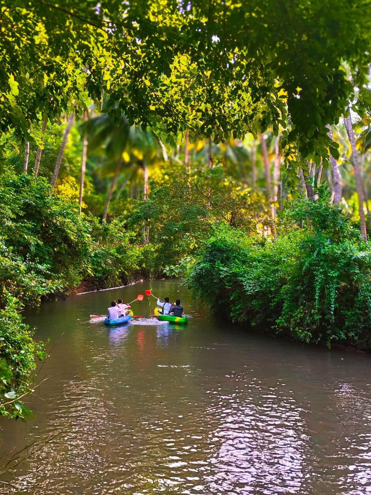 فندق Samyama Retreat كولا المظهر الخارجي الصورة